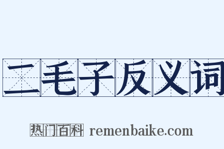 二毛子反义词是什么意思的图片